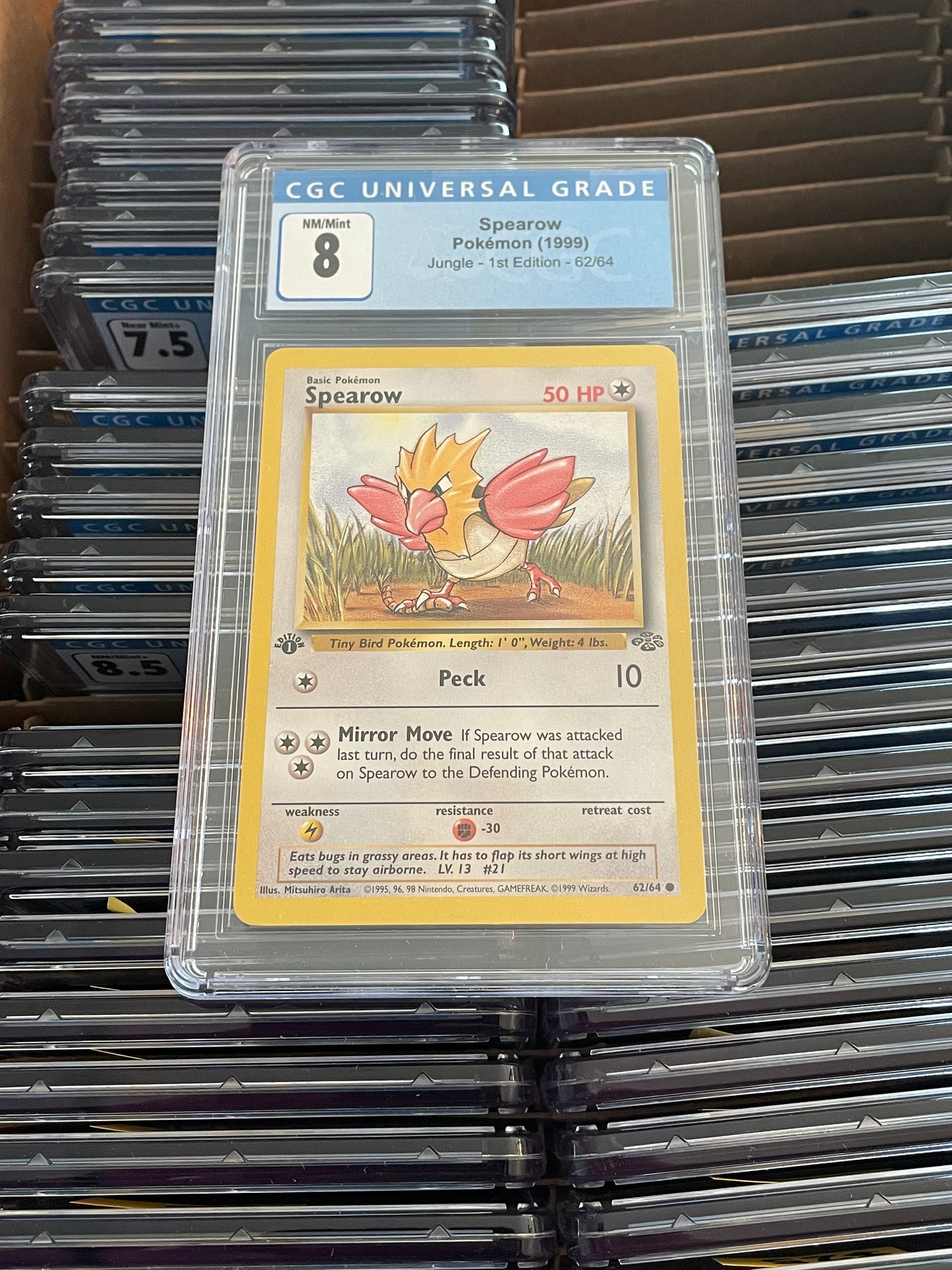 Spearow Jungle 1st Edition 62/64 Pokémon (1999) Cgc 8