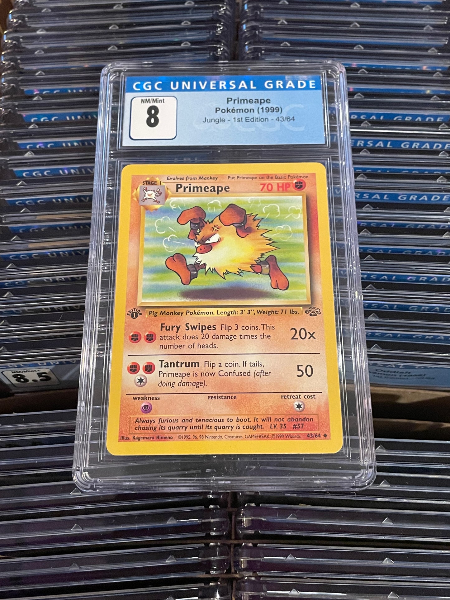 Primeape Jungle 1st Edition 43/64 Pokémon (1999) CGC 8