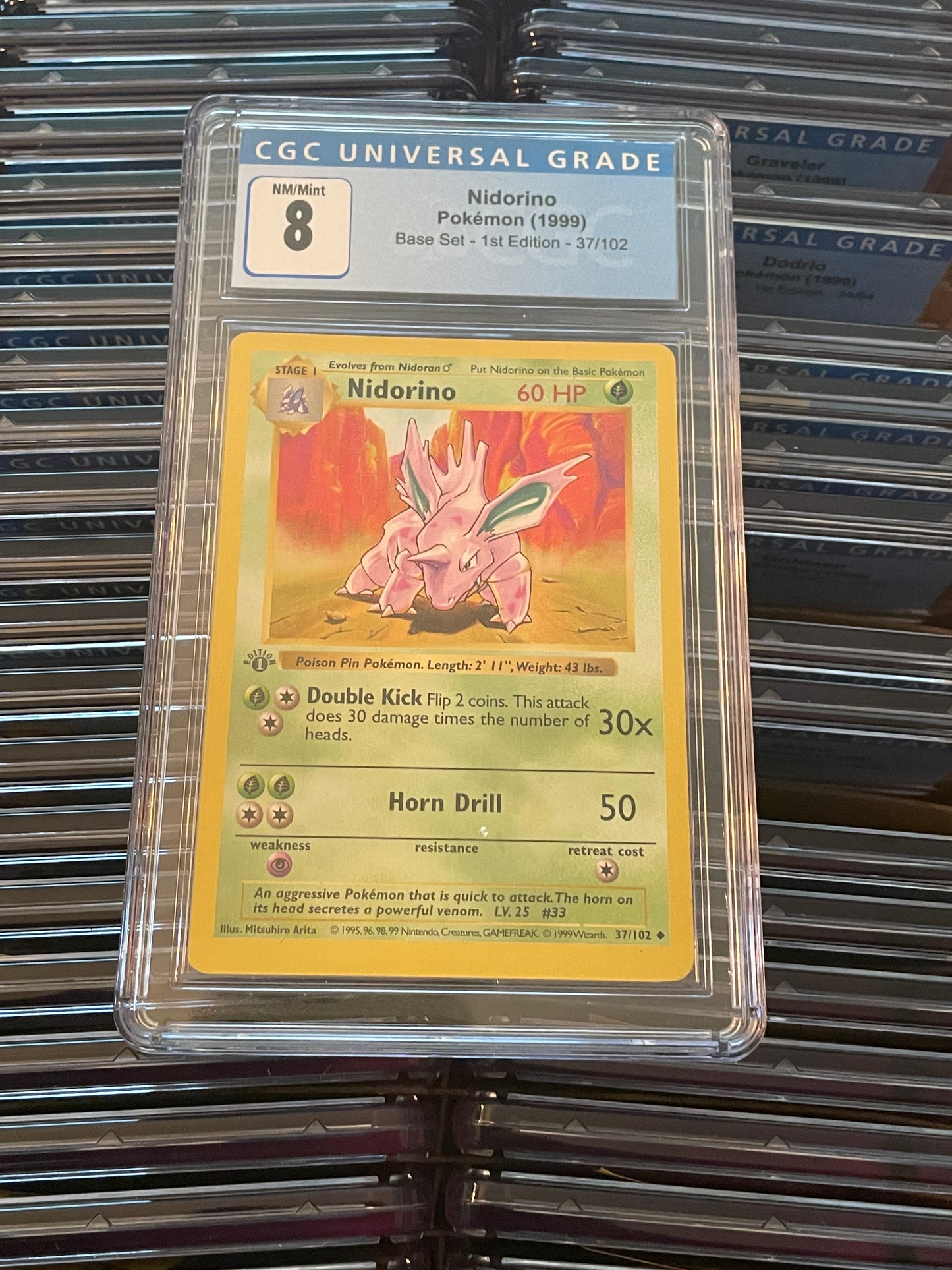 Nidorino Base Set 1st Edition 37/102 Shadowless Pokémon (1999) CGC 8