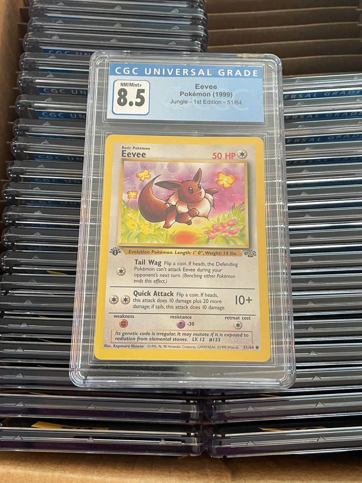 Eevee Jungle 1st Edition 51/64 Pokémon (1999) CGC 8.5