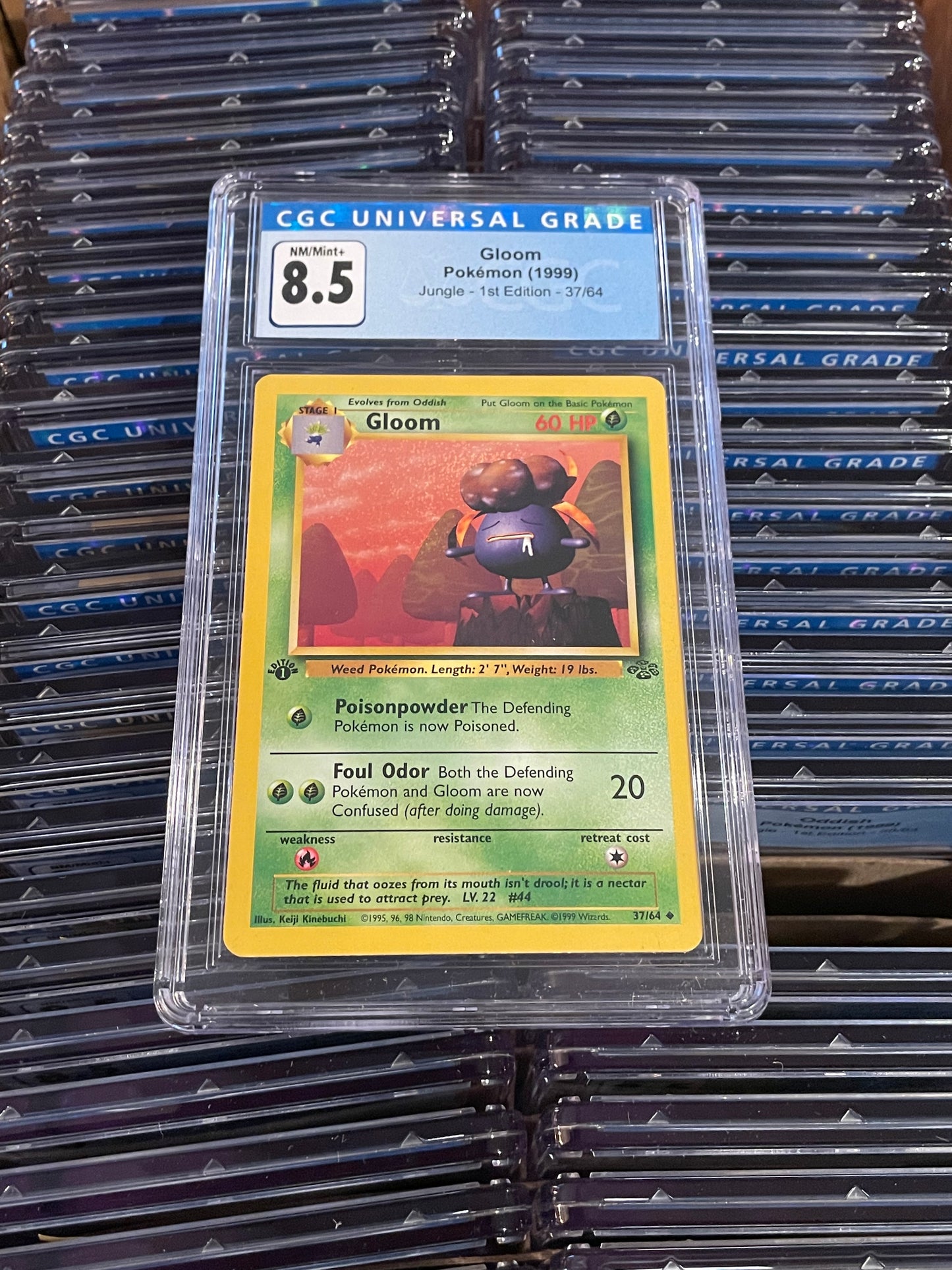 Gloom Jungle 1st Edition 37/64 Pokémon (1999) CGC 8.5