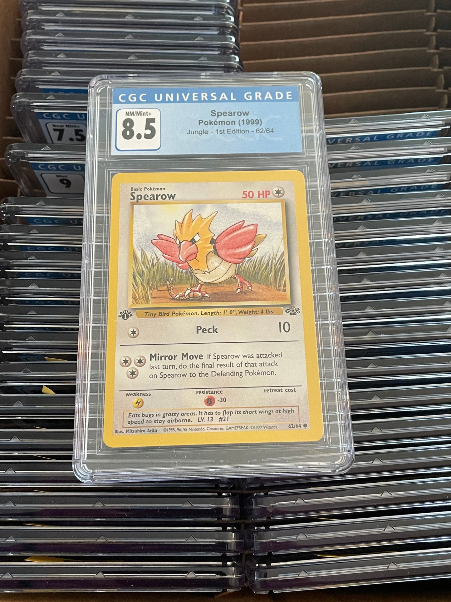 Spearow Jungle 1st Edition 62/64 Pokémon (1999) Cgc 8.5