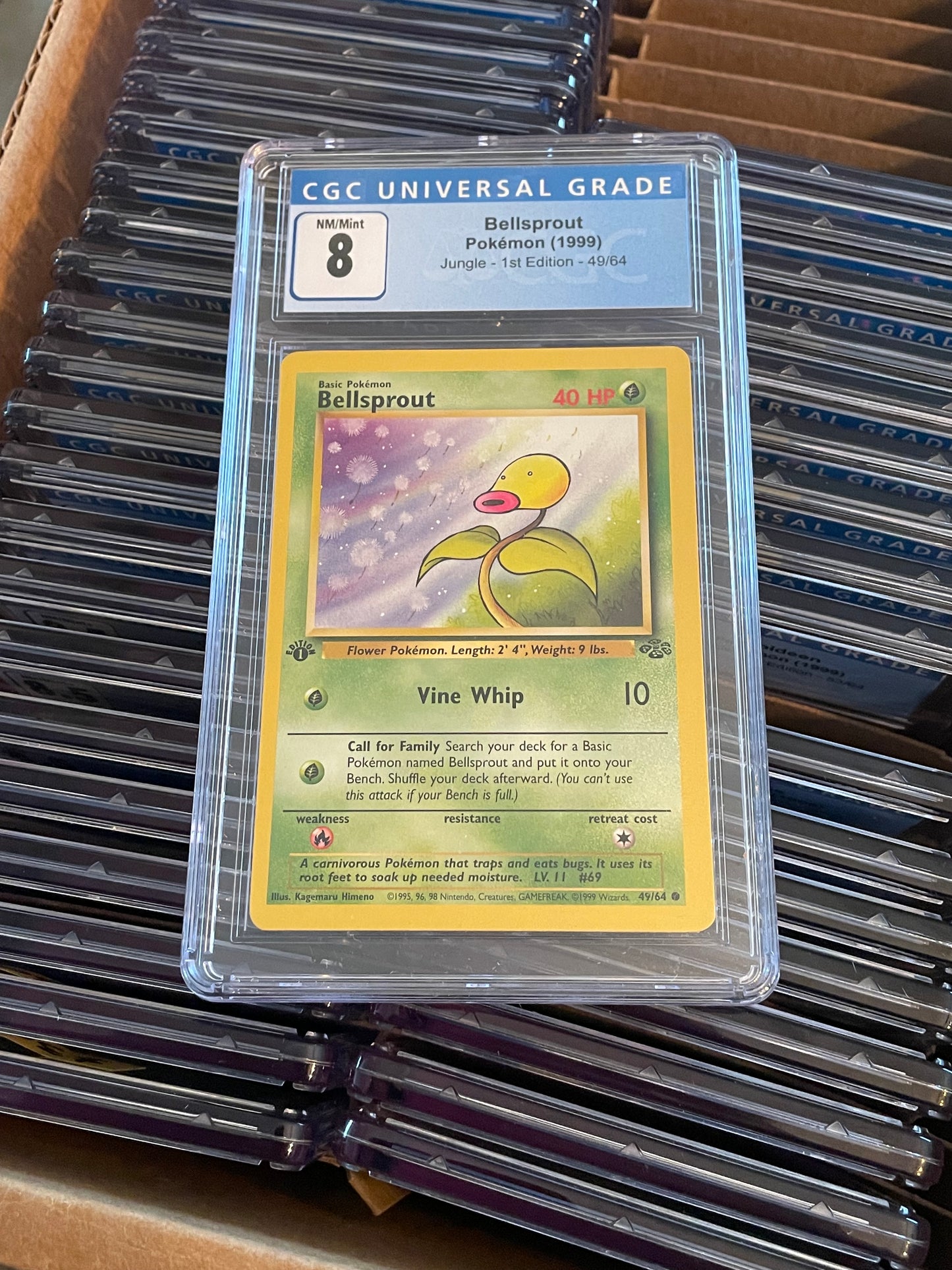 Bellsprout Jungle 1st Edition 49/64 Pokémon (1999) CGC 8