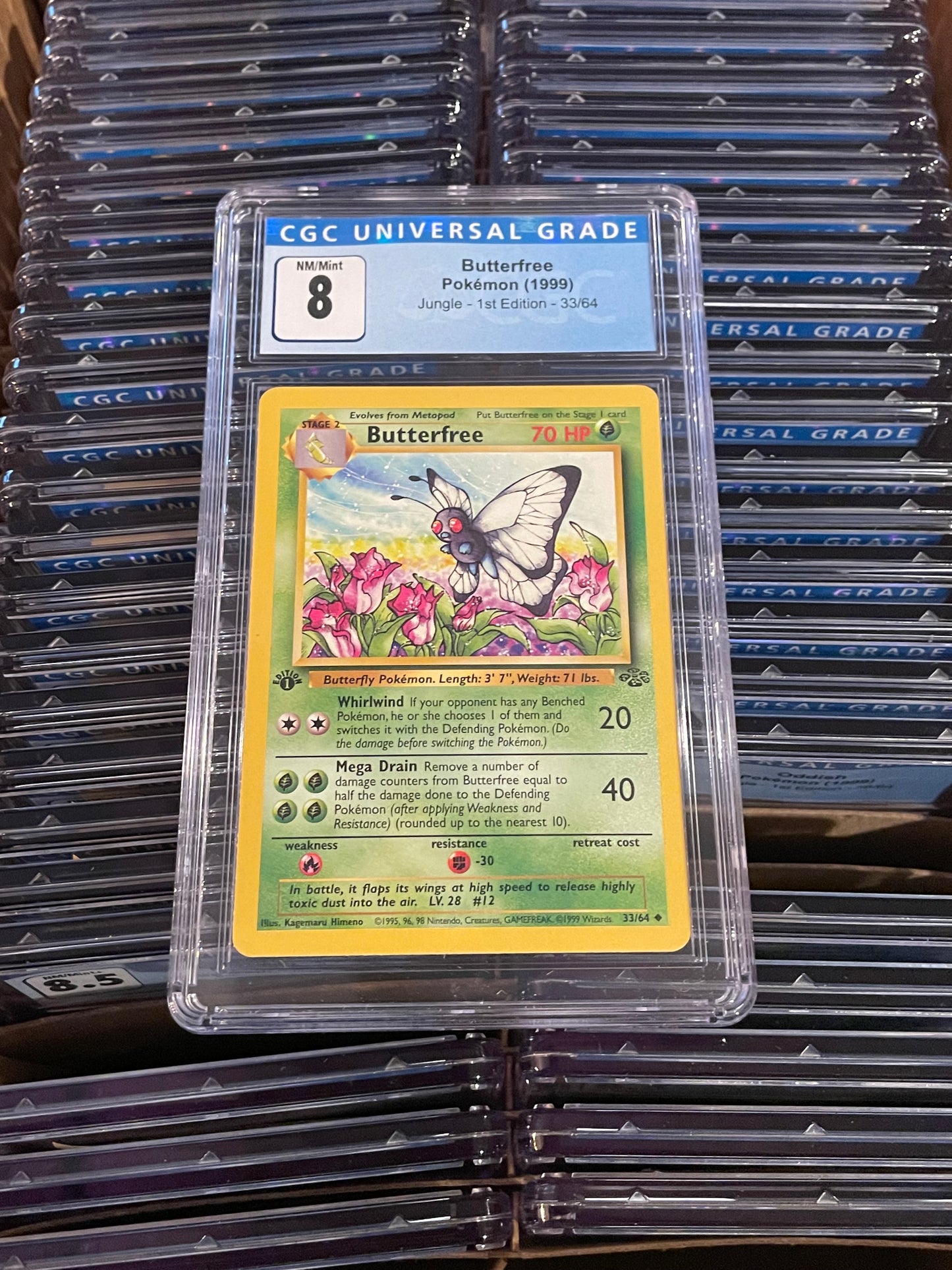 Butterfree Jungle 1st Edition 33/64 Pokémon (1999) CGC 8