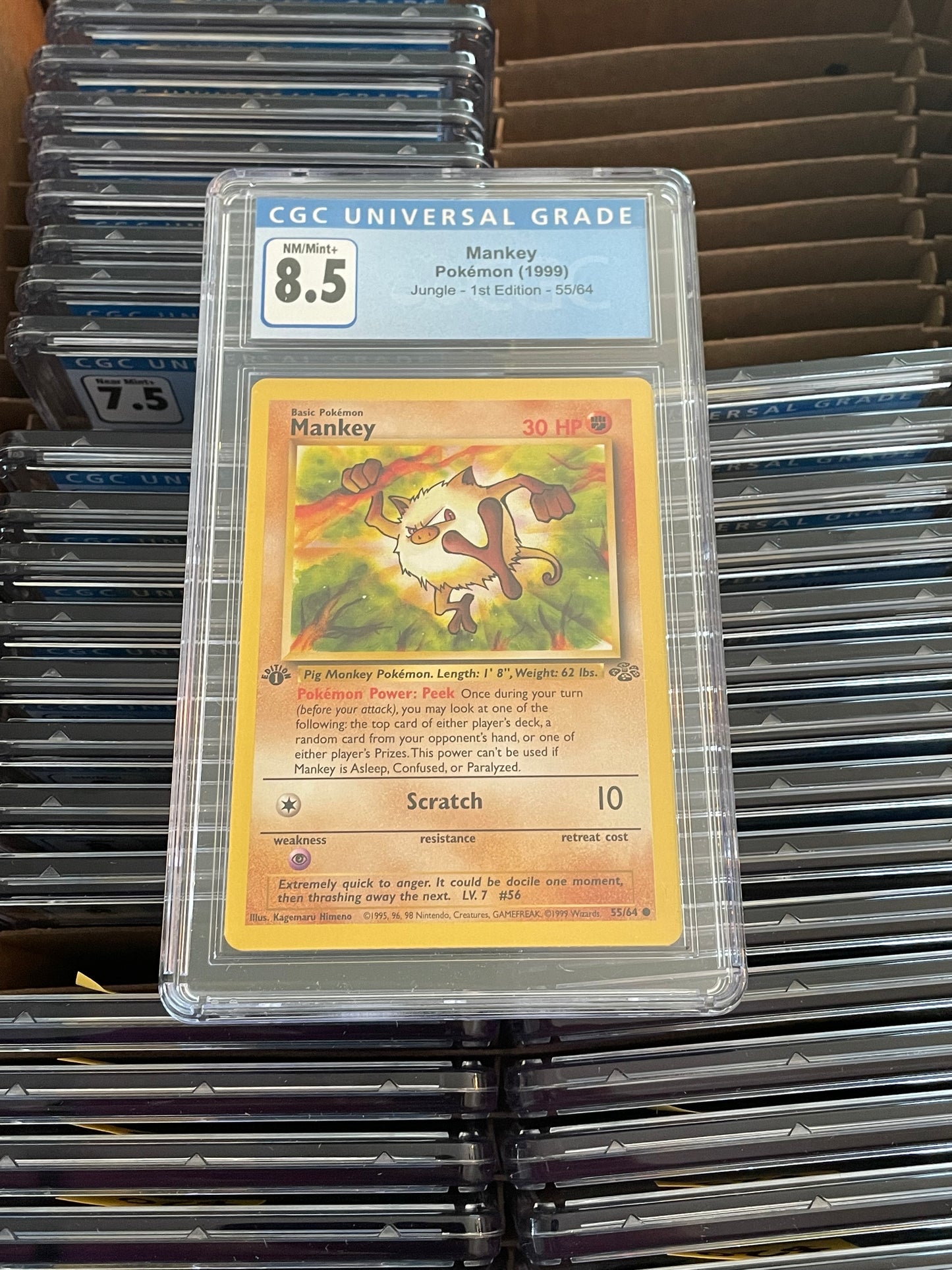 Mankey Jungle 1st Edition 55/64 Pokémon (1999) CGC 8.5